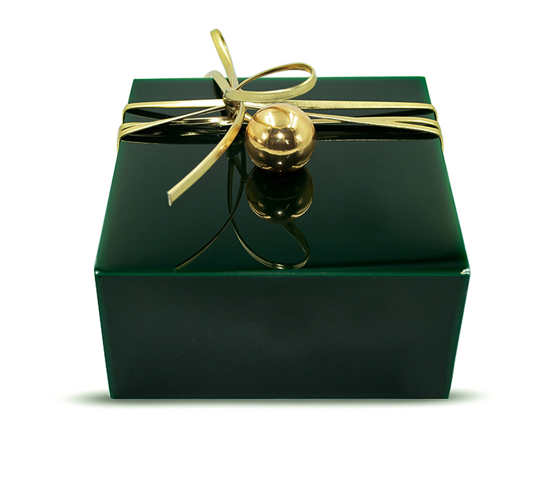 Metal Kulp Detaylı Akrilik Kutu